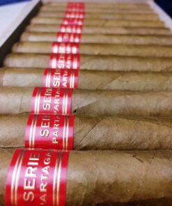 Alternative view of Partagas Serie D No.5 (Điếu lẻ)